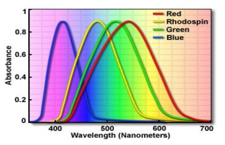 Frequency of LED Lights